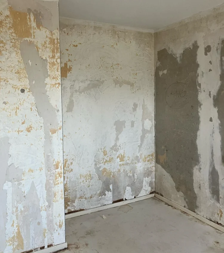 Rental property 3