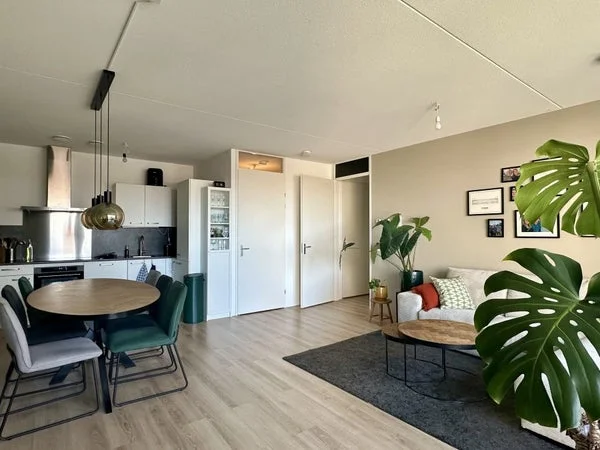 Rental property 3