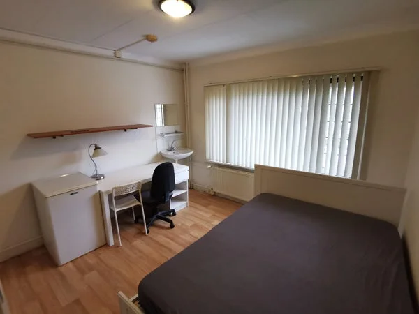 Rental property 3
