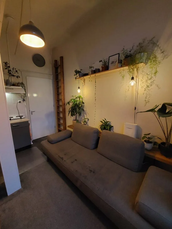 Rental property 3