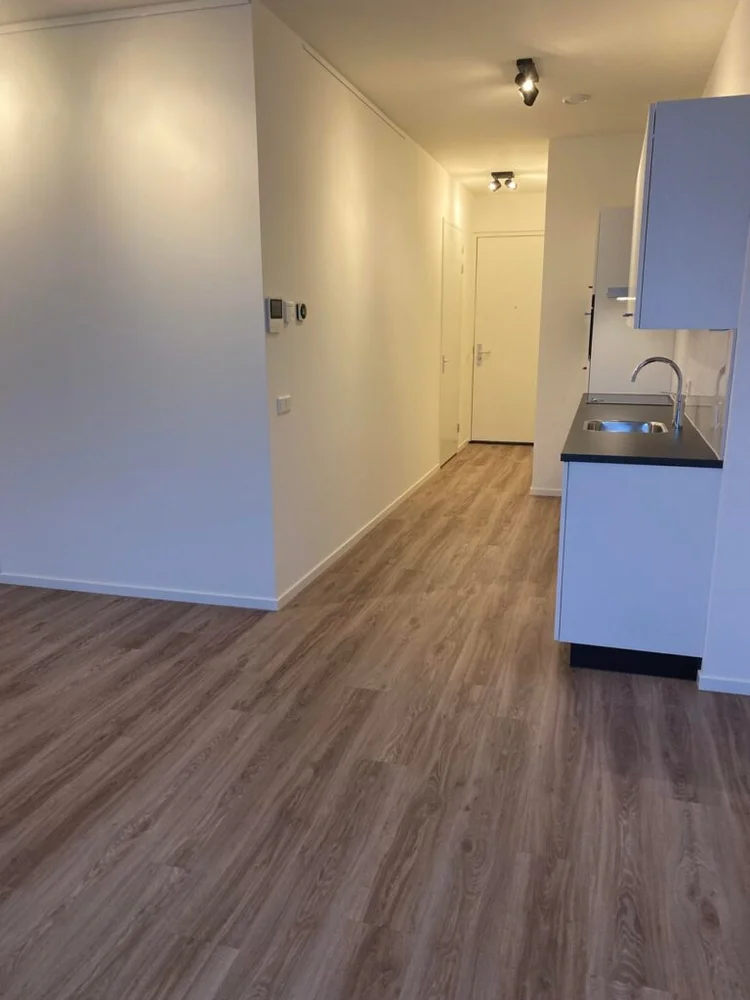 Rental property 3