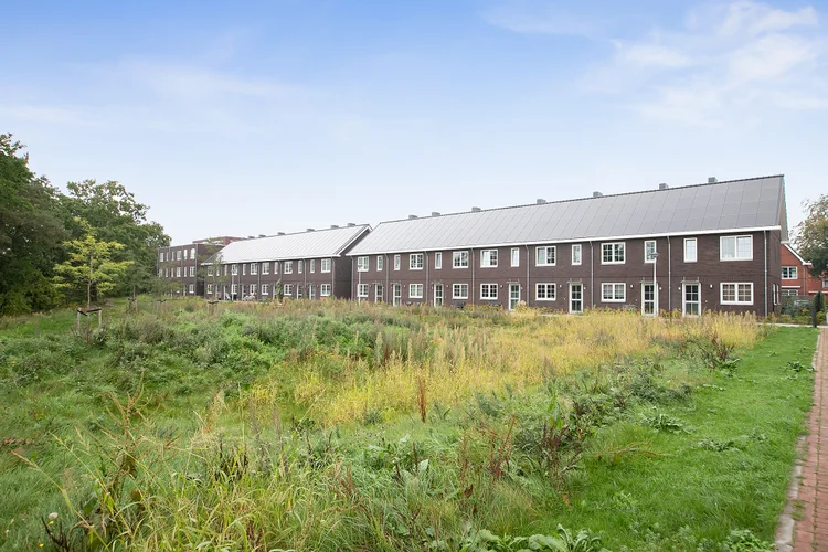 Rental property 3