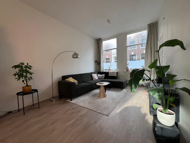 Rental property 3