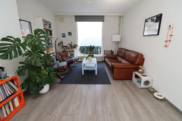 Rental property 3