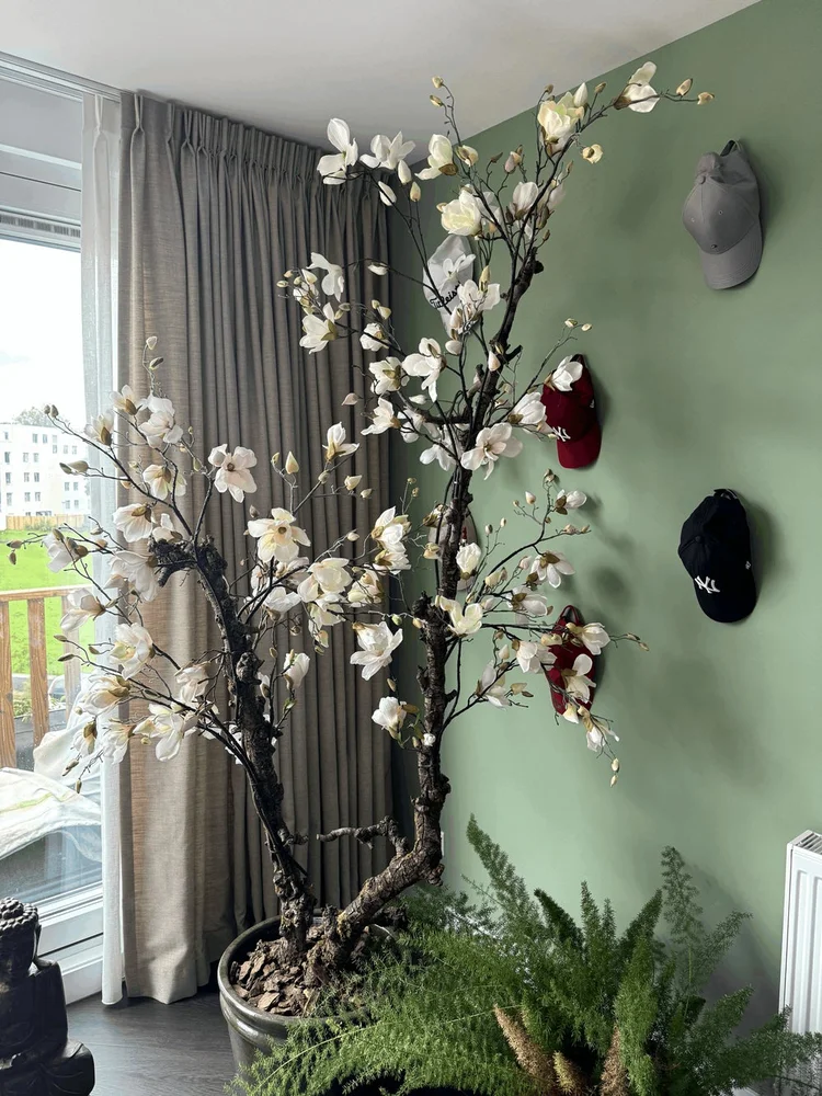 Rental property 3