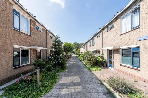 Rental property 3