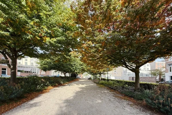 Rental property 3
