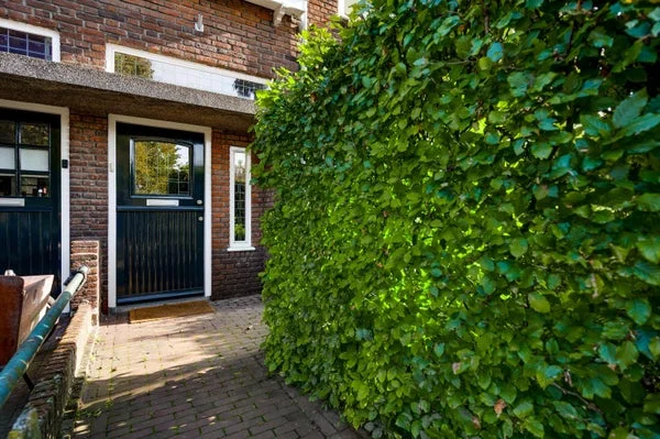 Rental property 3