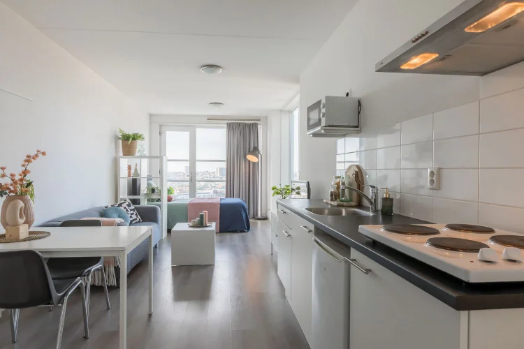 Rental property 3