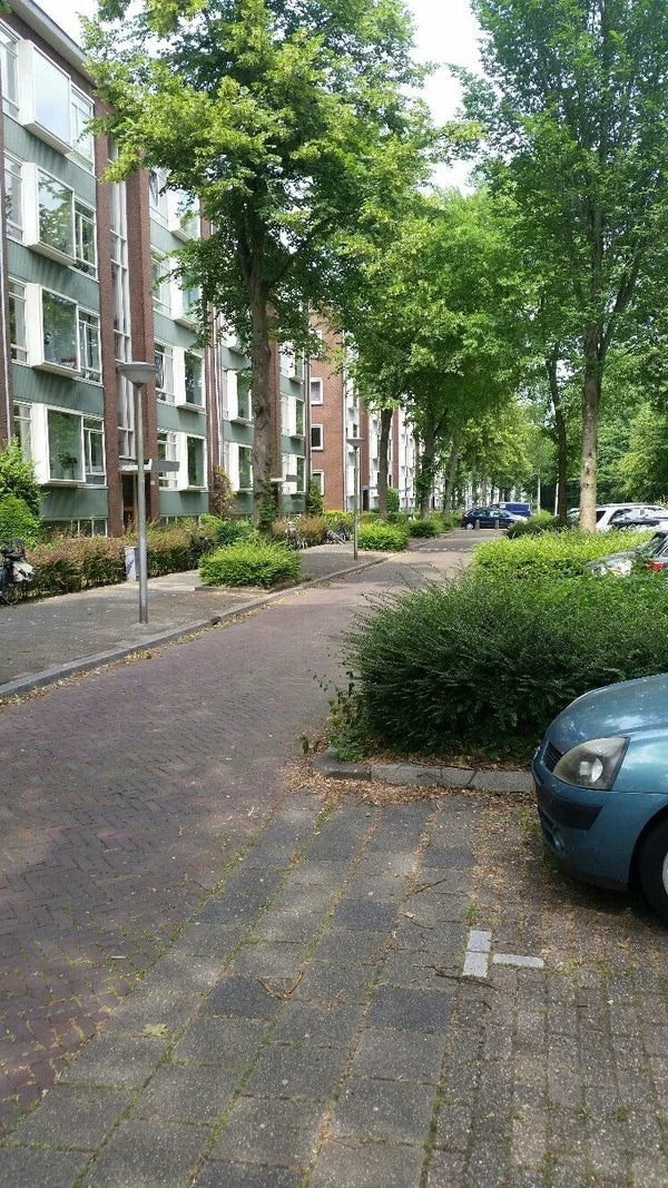 Rental property 3