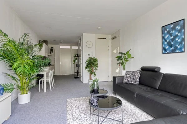 Rental property 3