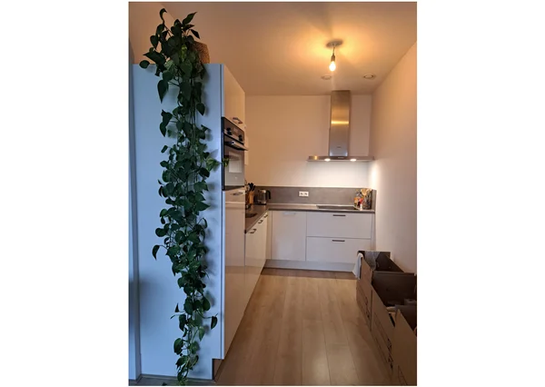 Rental property 3