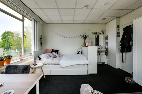 Rental property 4