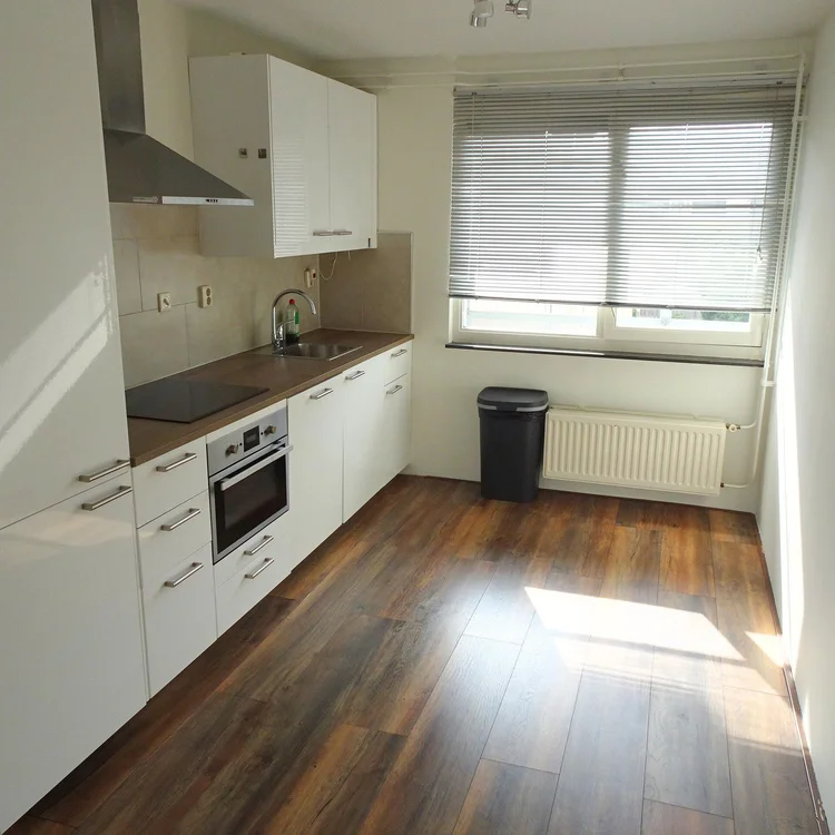 Rental property 4