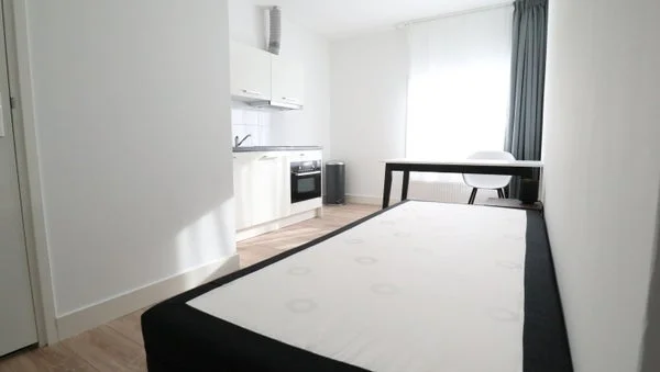 Rental property 4