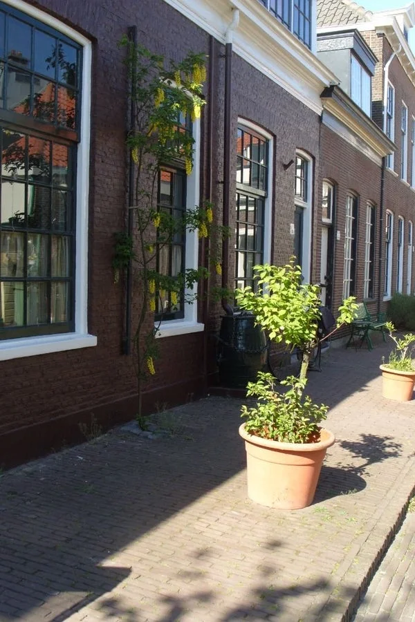 Rental property 4