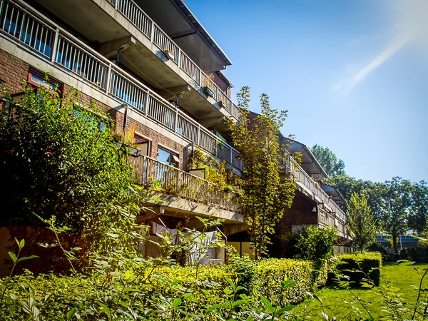 Rental property 4