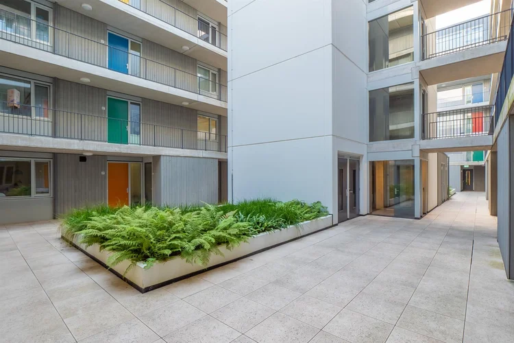 Rental property 4