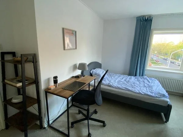 Rental property 4