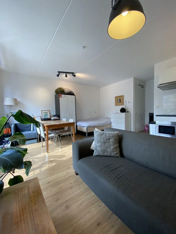 Rental property 4
