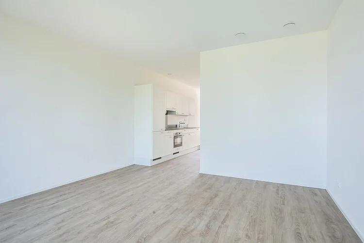 Rental property 4