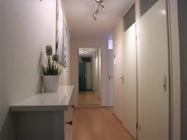 Rental property 3