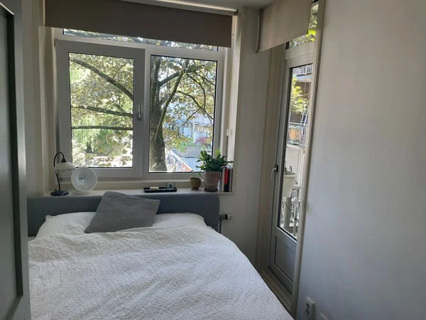 Rental property 4