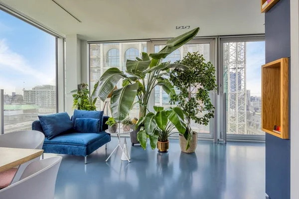 Rental property 4