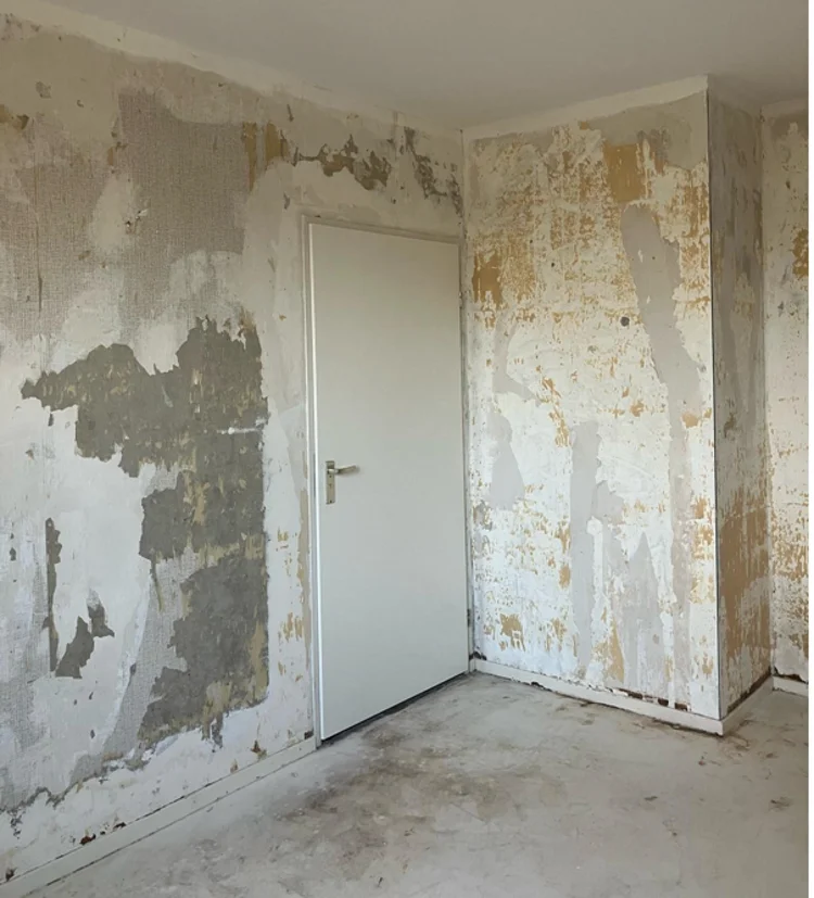 Rental property 4