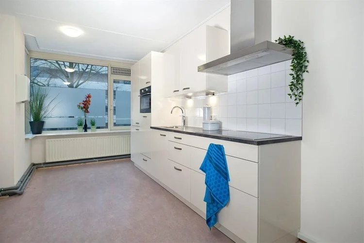 Rental property 4