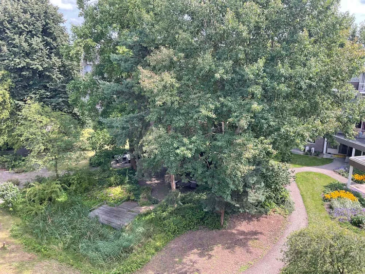 Rental property 4