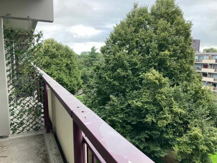 Rental property 4