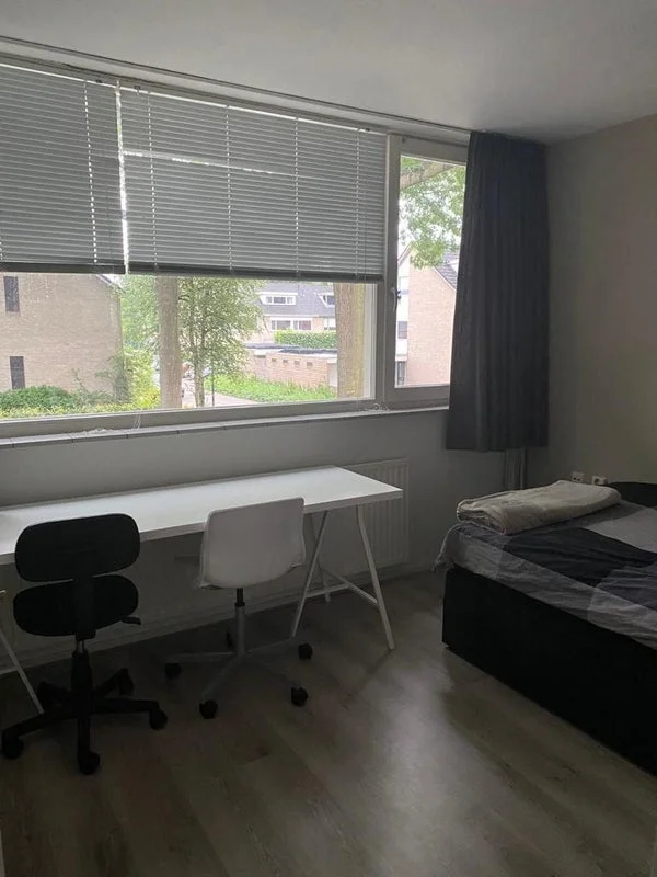 Rental property 4