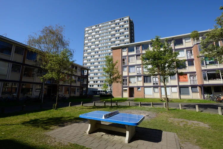 Rental property 4