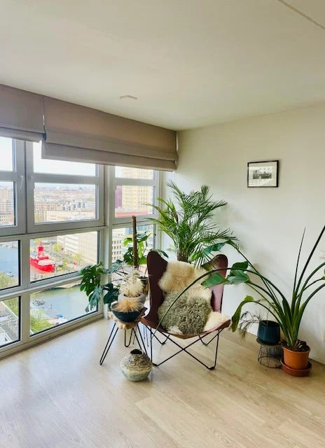 Rental property 4
