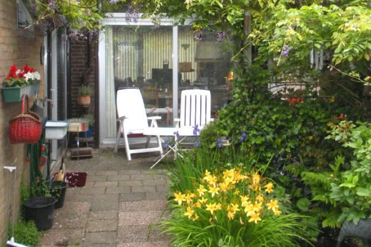 Rental property 4