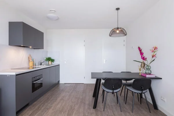 Rental property 4