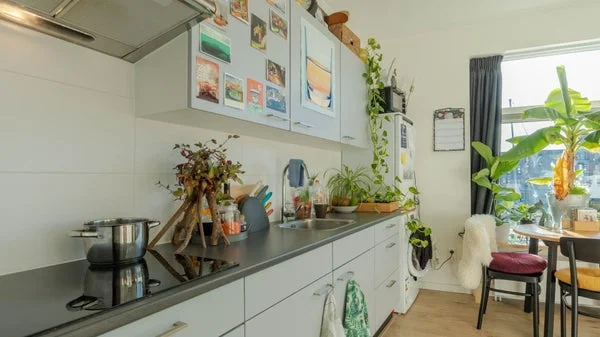 Rental property 4