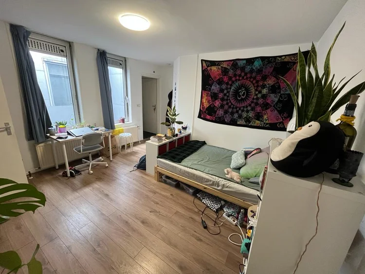 Rental property 4