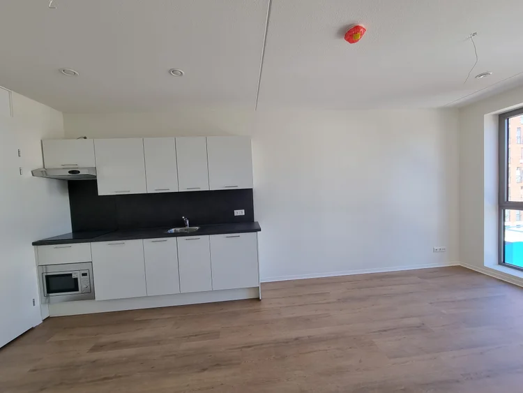 Rental property 4
