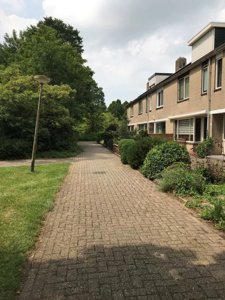 Rental property 4