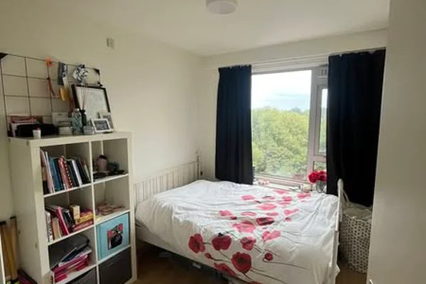 Rental property 4