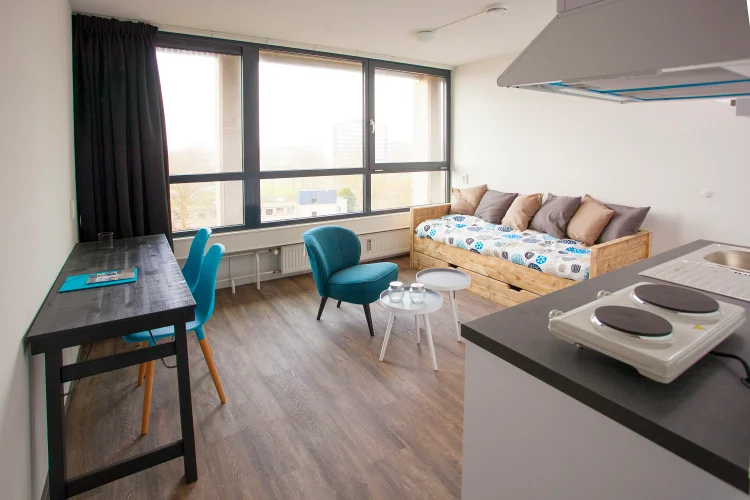 Rental property 4