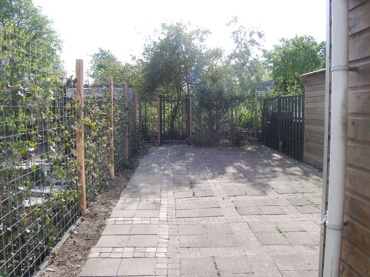 Rental property 4