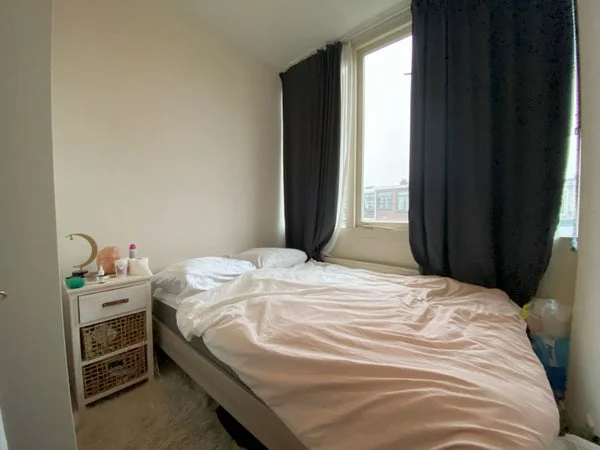 Rental property 4