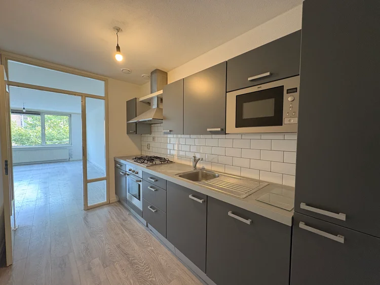 Rental property 4