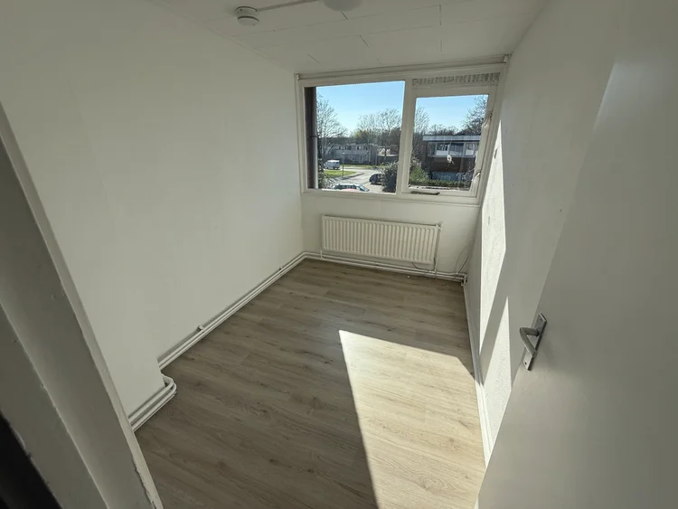 Rental property 4