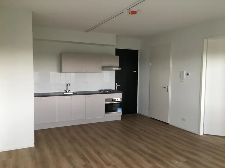 Rental property 4