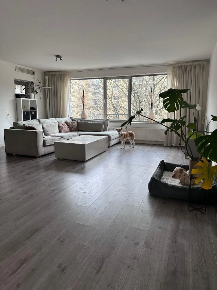 Rental property 4