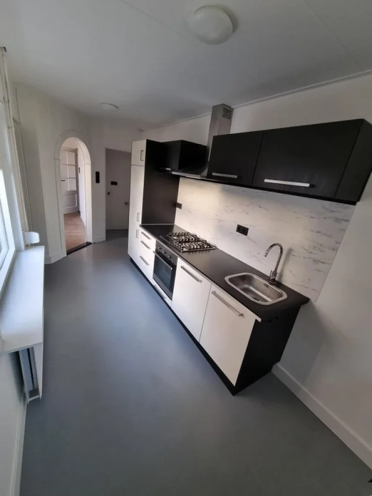 Rental property 4
